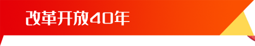 2024年澳门精准正版资料大全